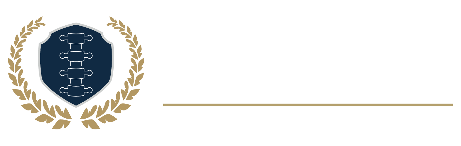 US Chiropractor Elite